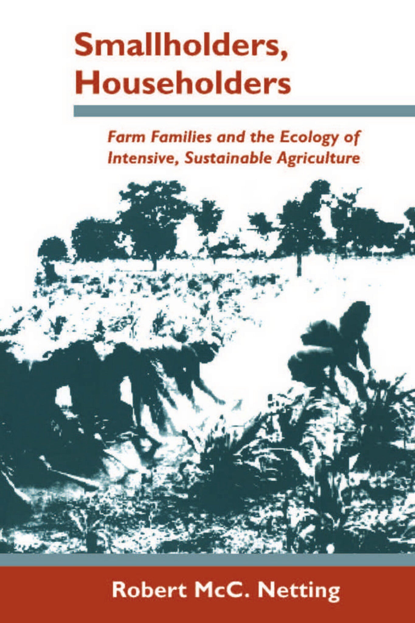 Cover image for Smallholders, Householders ISBN 9780804720618